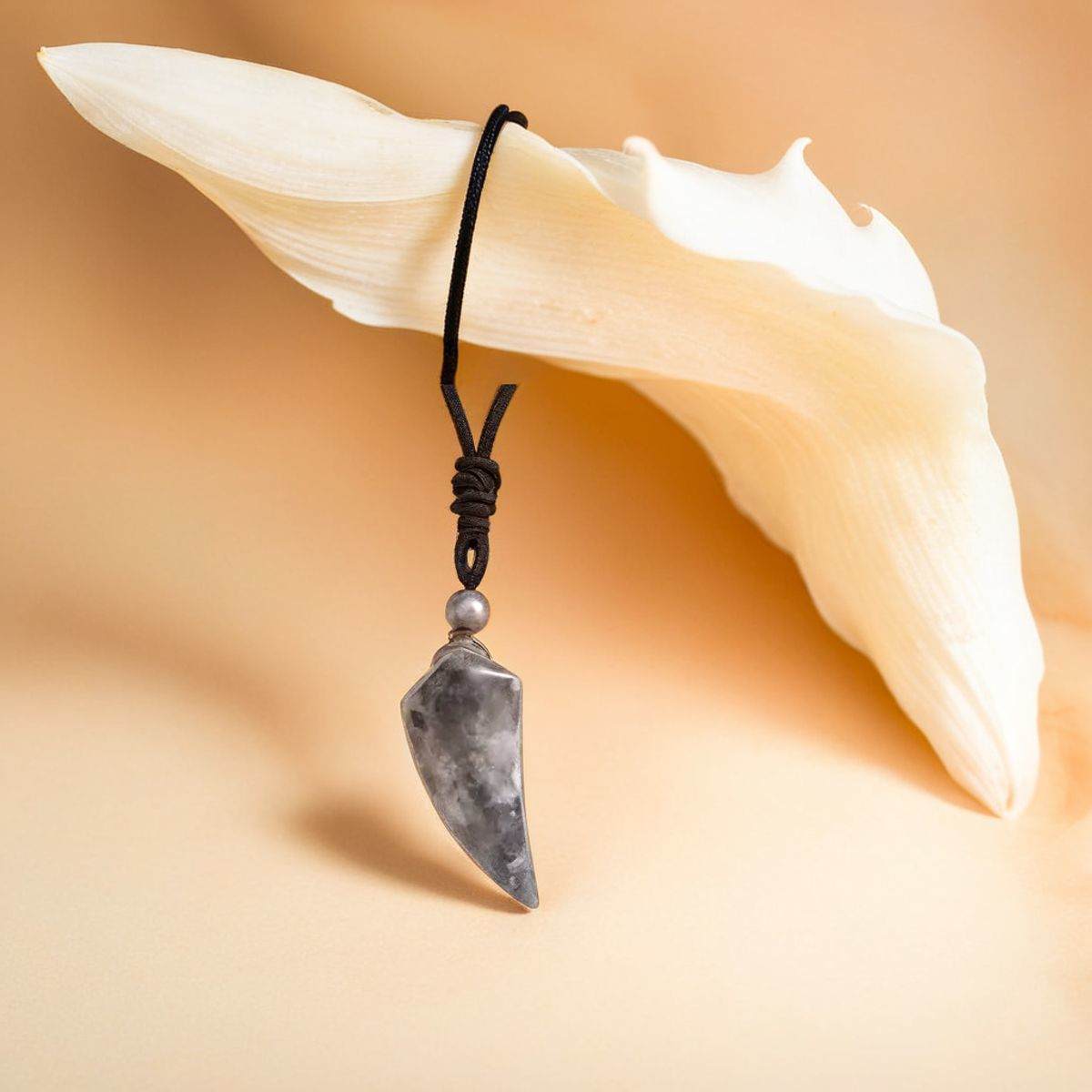 pendentif dent de loup | Labradorite noire - Essentieldubienetre